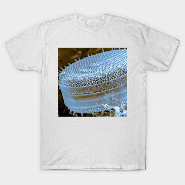 Diatom - Thalassiosira (SEM) T-Shirt by DiatomsATTACK